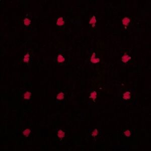 Meet your Posher, Melanie